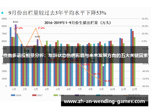 费南多退役前景分析：年龄状态伤病影响与未来发展方向的五大关键因素